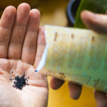 Pahalı Aletlere Gerek Yok - Tohumlara Başlayabileceğiniz Uygun Fiyatlı Temel