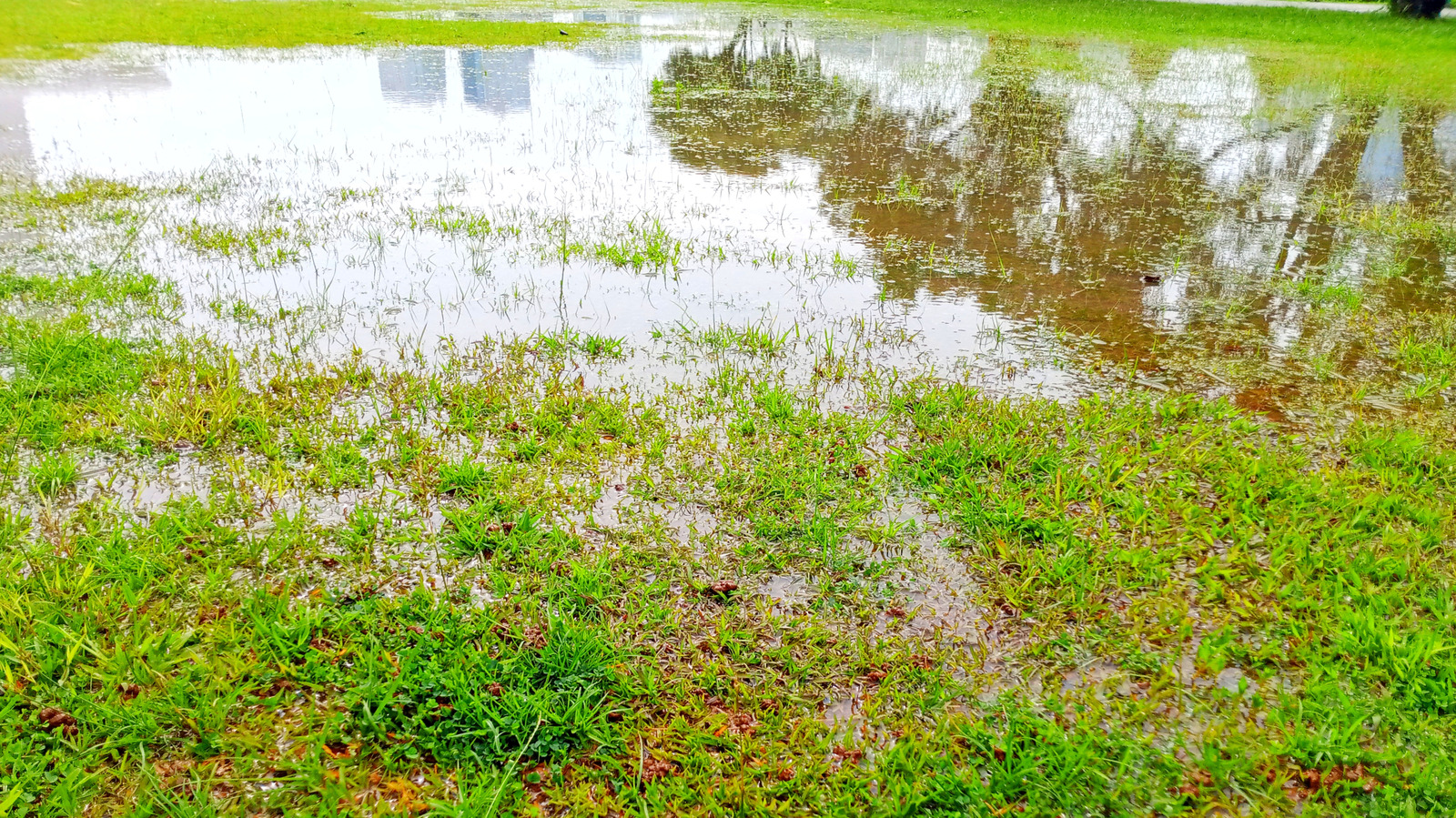Bahar Sağanaklarının Çimlerinizi Mahvetmesine İzin Vermeyin — Sandy Hack'ini Deneyin