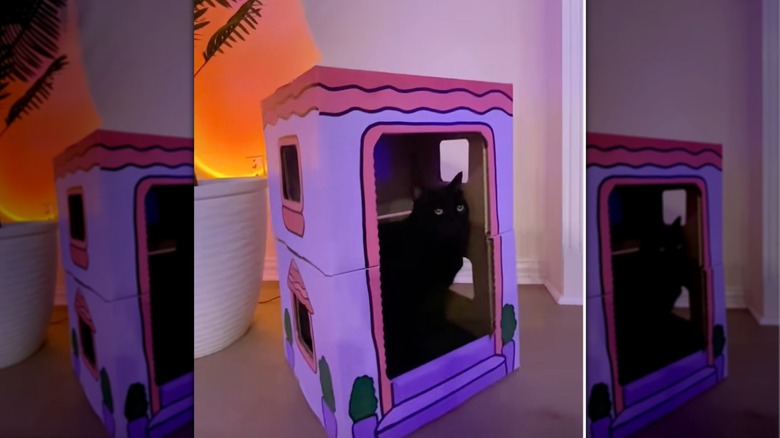 Costco'nun yeniden tasarlanmış karton kutularından yapılmış bir kedi oyun evi.