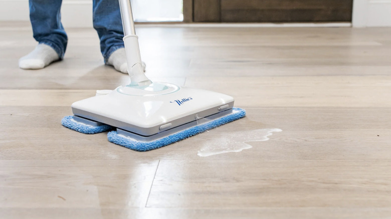 Nellie'nin Vay Paspası