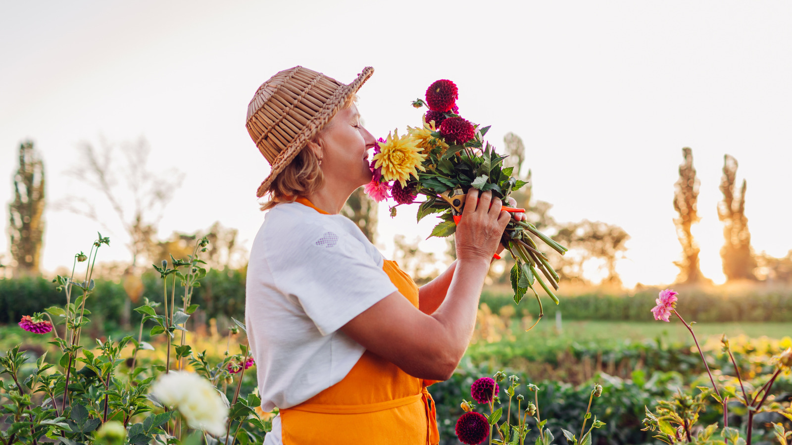 Değerli Görünen, Bahçeden Esinlenmiş Özel Plakalar İçin Çiçekleri Kilin İçine Bastırın