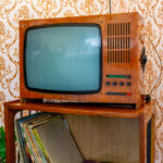 Eski Bir TV Monitörünü En Şirin İç Mekan Bitki Ekranına Dönüştürün