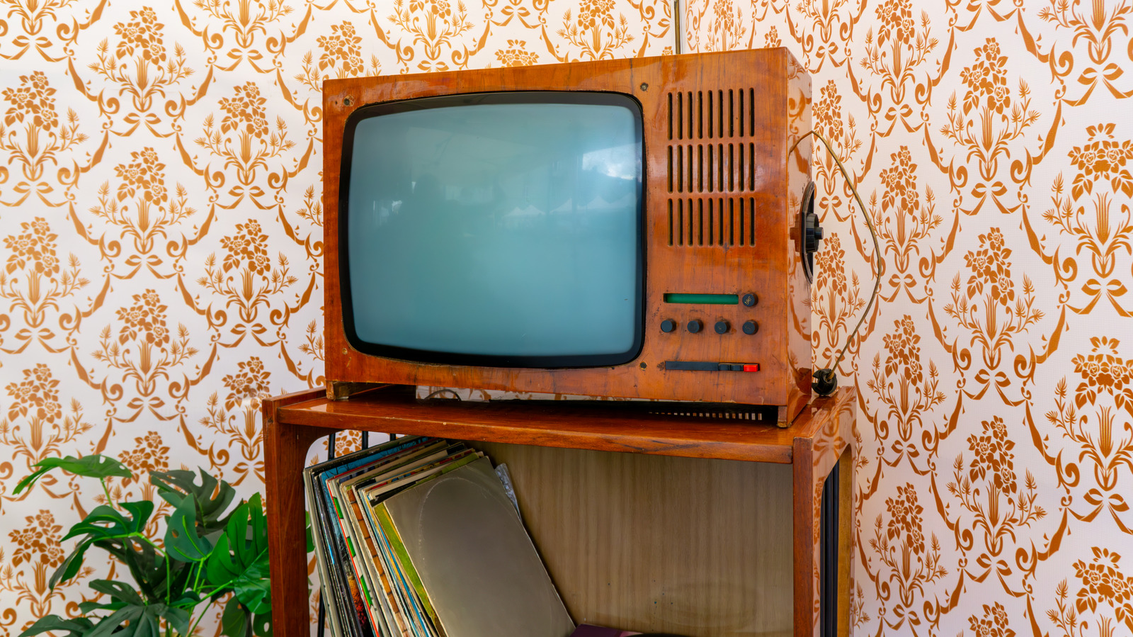 Eski Bir TV Monitörünü En Şirin İç Mekan Bitki Ekranına Dönüştürün