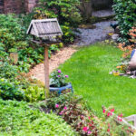 Her Yıl Geri Gelen Parlak Çiçeklere Sahip Kompakt Çok Yıllık Çalı