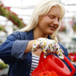 Saksı Bahçenizde Yeşerecek, Hastalığa Dirençli Kırmızı Çok Yıllık Bitki