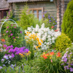 Batıya Bakan Bahçenizde Büyüyecek 10 Popüler Bitki