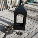 Dolar Ağacı Fenerini Platform Kuş Besleyiciye Dönüştürdük ve Birkaç Arkadaş Edindik