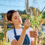 Verandanızın Yaz Boyunca Güzel Kokmasını Sağlayacak 10 Güzel Kokulu Bitki
