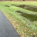Bahçe ve Toprak Drenajını İyileştirmeye Yardımcı Olacak Araba Yolu Yükseltmesi
