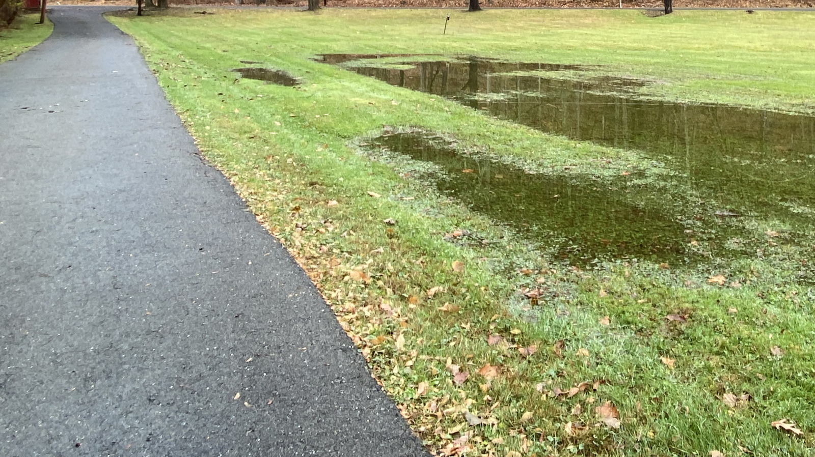 Bahçe ve Toprak Drenajını İyileştirmeye Yardımcı Olacak Araba Yolu Yükseltmesi