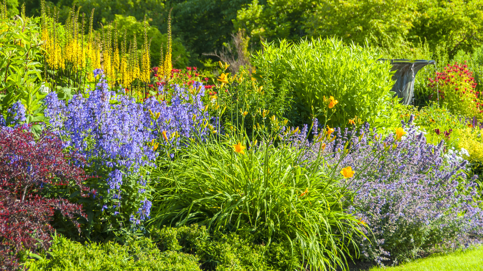 Tüm Yaz Boyunca Güzel Görünen, Kendi Kendine Tohumlanan Mor Çiçek