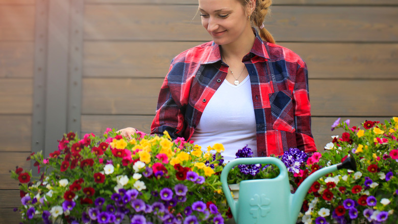 milyon çan çiçeğiyle ilgilenen kişi