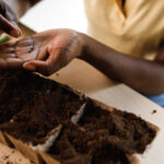 Bu Popüler Yıllık Çiçeği Dikmeyi Yeniden Düşünün - Değerinden Daha Fazla Sorun Olabilir