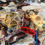 Elveda Güneş Gözlüğü Dağınıklığı, Bir Dolar Ağacı Kullanarak Bu DIY'i Deneyin Mutfak Bul