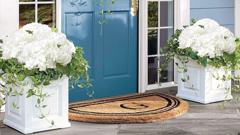 Ön verandada beyaz bir saksıda sahte beyaz ortancalar