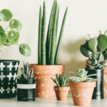 Bu Basit Kendin Yap, Artık Hurda Tahtayı Yerden Tasarruf Sağlayan Bir Tesis Sergisine Dönüştürüyor