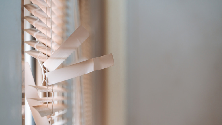 Hasarlı ve kırık çıtalarla pencere körlüğünün kapatılması