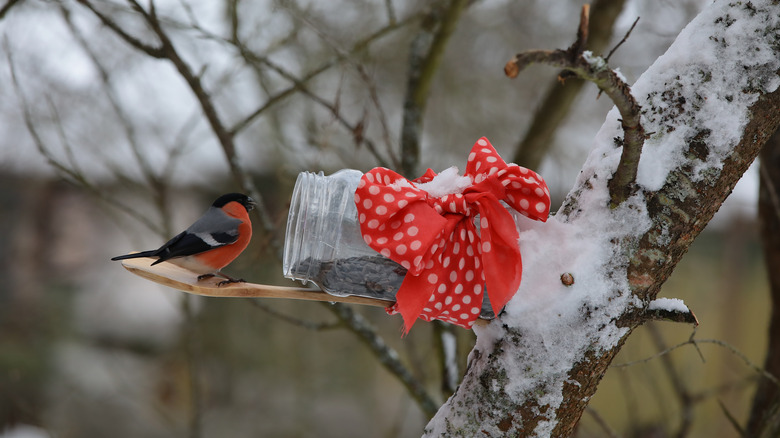 Bir ardıç kuşu, tahta kaşık levrek ve kırmızı beyaz puantiyeli fiyonk ile karla kaplı kavanoz kuş besleyicisinin üzerinde oturuyor.