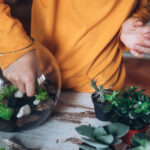 Bu Katmanlı Kaktüs Vazo Teşhiriyle Evinize Çöl Şıklığı Havası Getirin