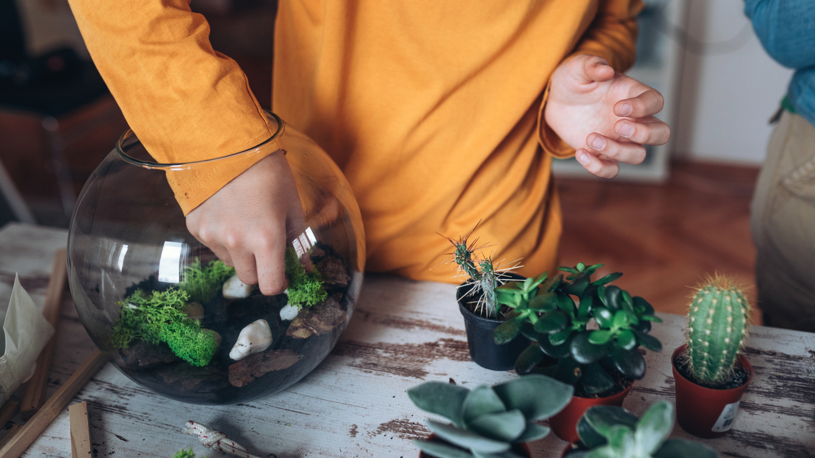 Bu Katmanlı Kaktüs Vazo Teşhiriyle Evinize Çöl Şıklığı Havası Getirin