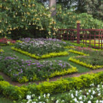 Bu 11 Canlı Bitki Alternatifi İçin Malçtan Kurtulun