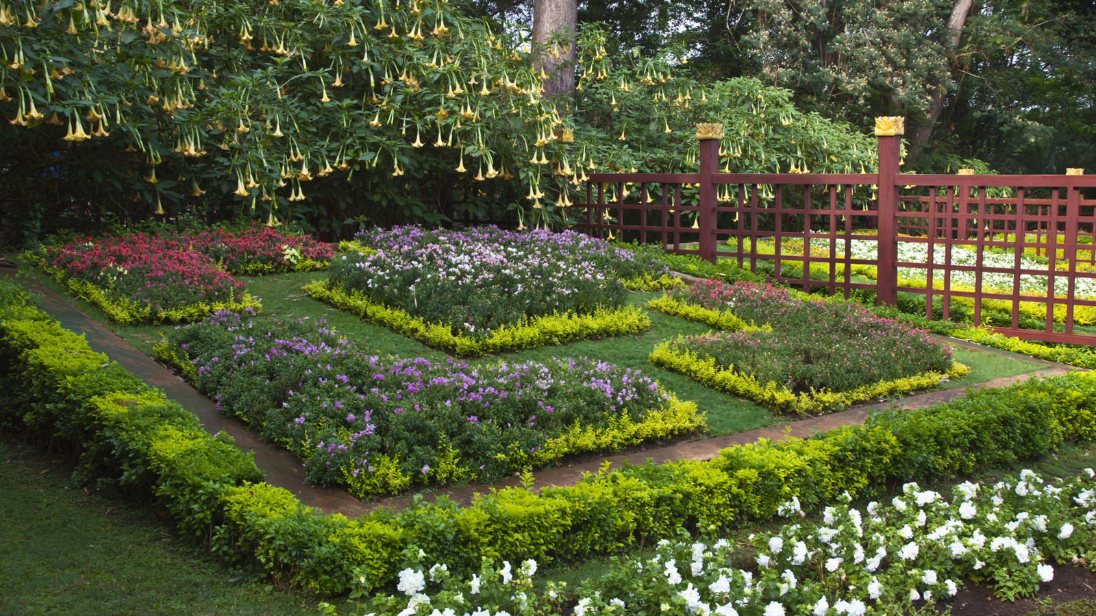 Bu 11 Canlı Bitki Alternatifi İçin Malçtan Kurtulun