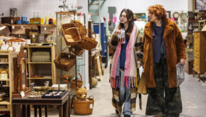 Eski Bir İkinci El Mağazası Ürün Kutusunu En Şirin Asılı Bitki Sepetine Dönüştürün