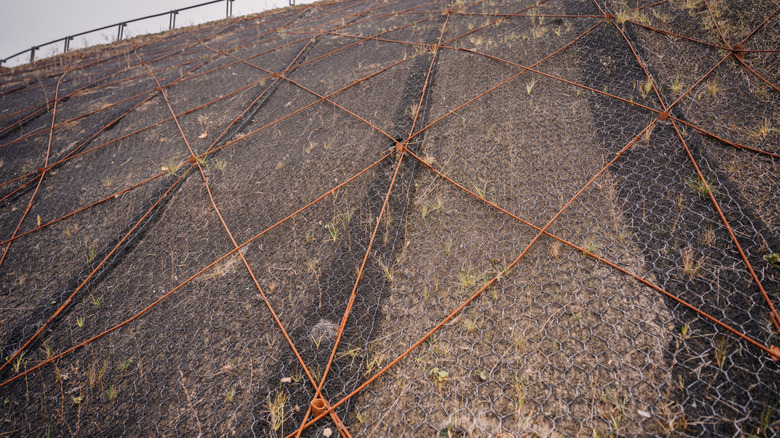 Kemirgenler gibi zararlılardan toprağı kaplayan örgü tel