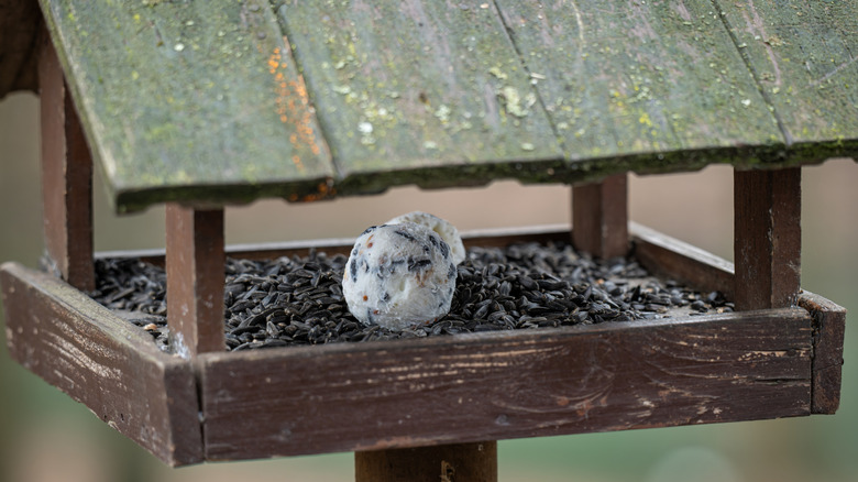 Tohum topu olan ahşap bir kuş besleyici.