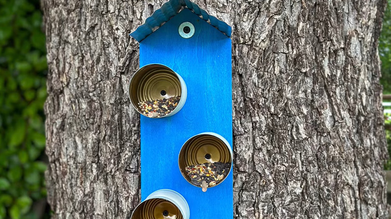 Teneke kutulardan ve büyük bir ağaç gövdesine tutturulmuş mavi boyalı ahşap arkalıktan yapılmış DIY kuş besleyici.