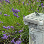 Bahçeniz İçin Gözden Kaçmamanız Gereken Dış Mekan Dostu Antika