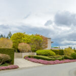Mükemmel Bir Araba Yolu Kenar Çiçeği Yapan Ateşli Kırmızı Lantana Çeşitleri