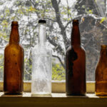 Eski Bir Bira Şişesini En Şirin Bitki Yayılım İstasyonuna Dönüştürün