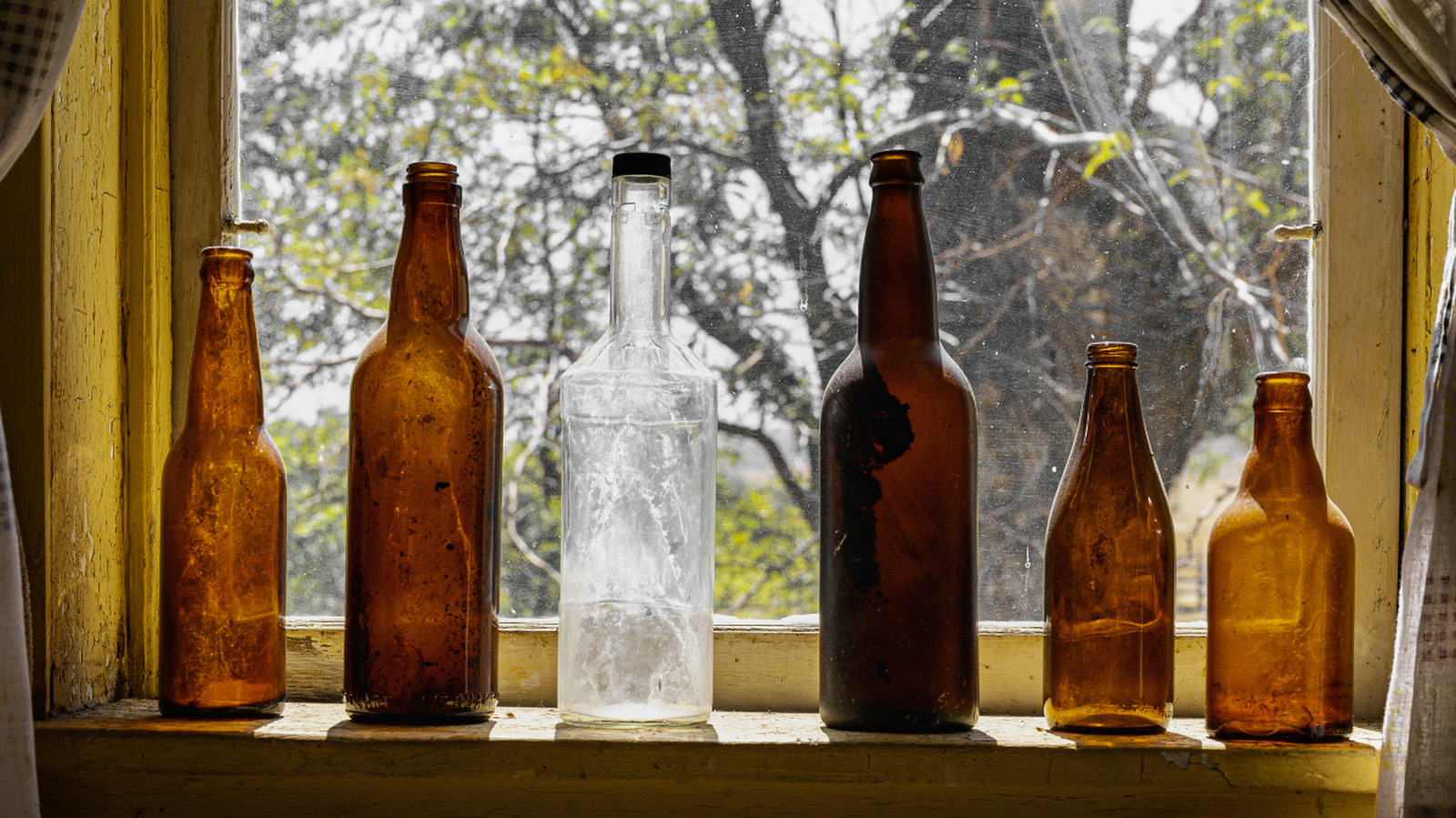 Eski Bir Bira Şişesini En Şirin Bitki Yayılım İstasyonuna Dönüştürün