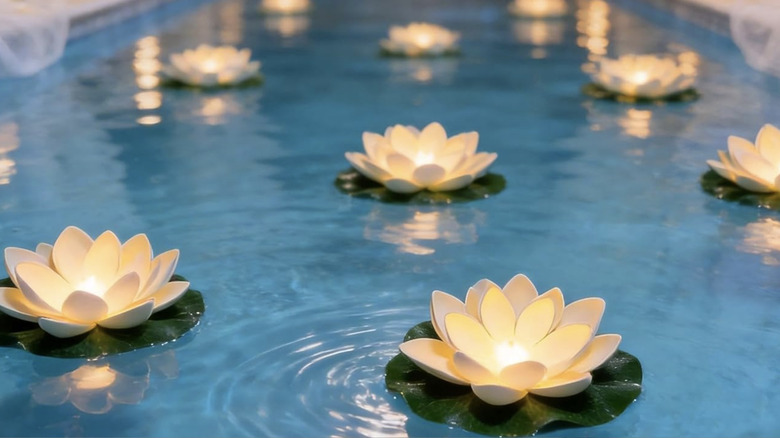 Küçük bir havuzda lotus çiçeği ışıkları