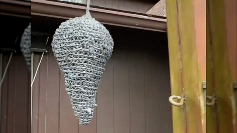 gri plann tığ işi sahte eşekarısı yuvası