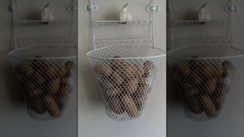 Bir Dolar Ağacı DIY asılı depolama