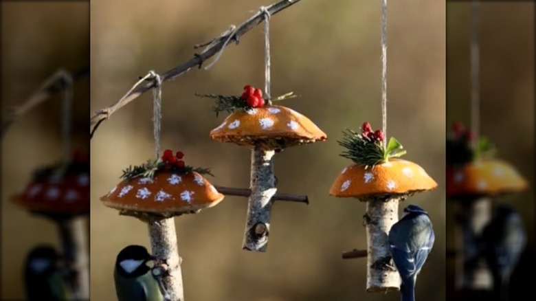 mantar şeklindeki DIY kuş besleyicileri