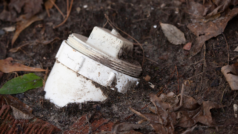 Bir bahçedeki beyaz kanalizasyon temizleme borusu