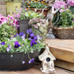 Verandanız İçin En Şirin Kuş Evi Saksı Nasıl Yapılır