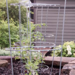 Eski Bir Domates Kafesini Tüylü Arkadaşlarınız İçin Basit Bir Kuş Besleyicisine Dönüştürün