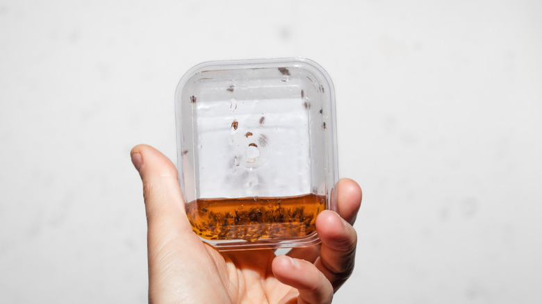 Elma sirkesi düz tuzağı tutan kişi