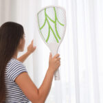 Her zamankinden daha fazla sivrisinek mi görüyorsunuz? İşte Görünüşlerinin Arkasındaki Sebep