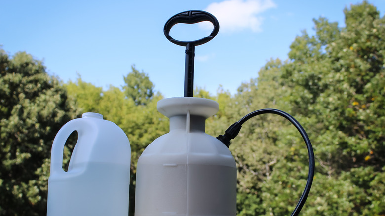 Sürahi beyaz sirke ve püskürtücü.