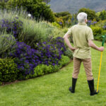 Gübreyi Tutun: Önce Bu Çim Bakım Görevlerini Yapın