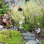 Peri Bahçesi Temel Eşyalarını Hobi Lobisinde Stok Edebilirsiniz