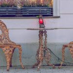 Eski İkinci El Veranda Mobilyalarını Rüya Gibi Bir Arka Bahçe Özelliğine Dönüştürün