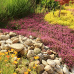 Az Bakım Gerektiren Bahçıvanlar İçin 11 Costco Tesisi