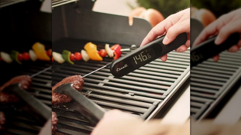 etin sıcaklığını kontrol etmek için Escali termometresini kullanan kişi