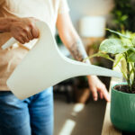 Kullanımı Çok Kolay, Hedeften 3 Dolarlık Kendiliğinden Sulanan Saksı